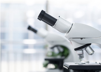 2121�Ƿ���(�й���)�����ٷ���վ