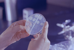 2121�Ƿ���(�й���)�����ٷ���վ