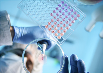 2121�Ƿ���(�й���)�����ٷ���վ