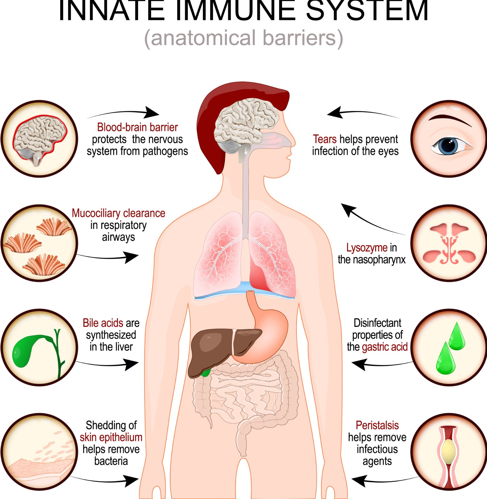 1695883062738494.jpg ÃâÒßϵͳ.jpg