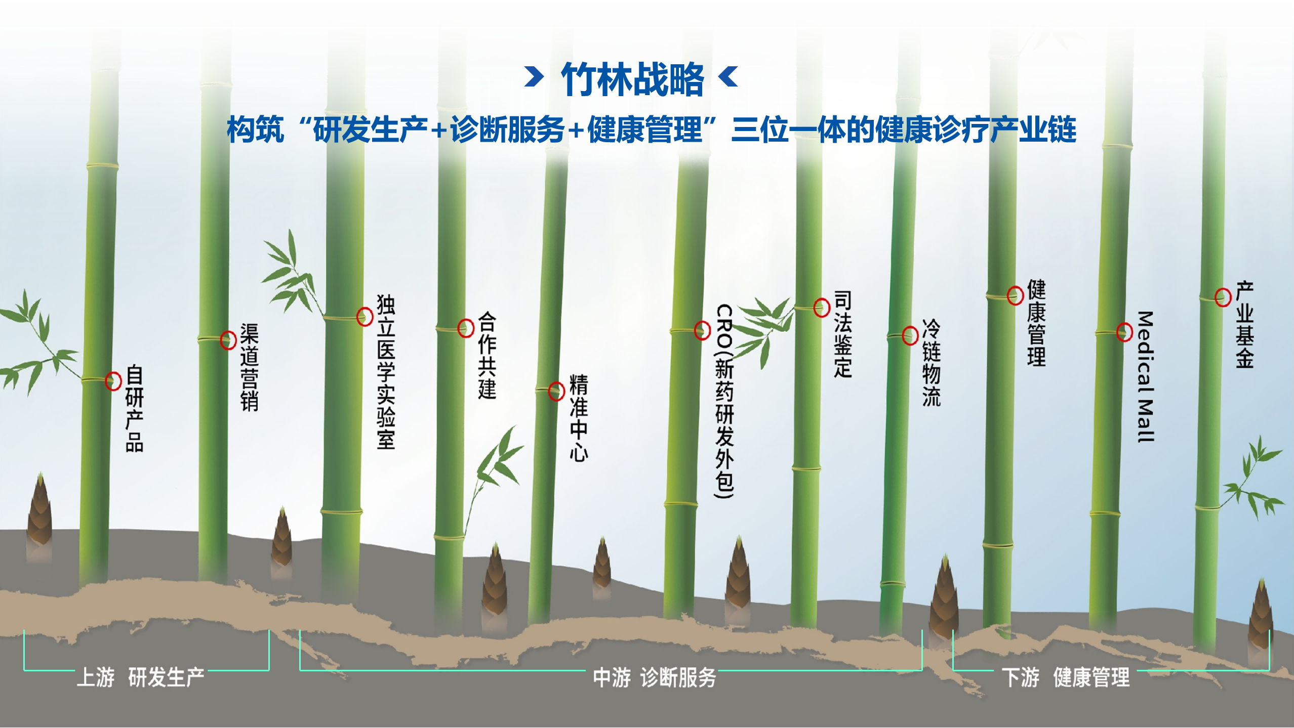 1715751046897821.png ͼƬ1(1).png