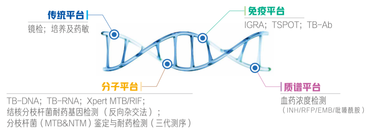 1721026486873653.png 1721026486873653.png