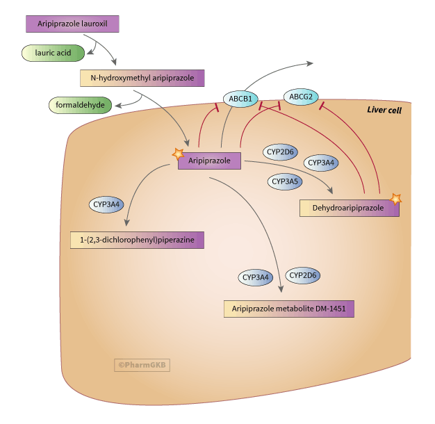 1741914883679297.png ΢ÐÅͼƬ_20250312102829.png