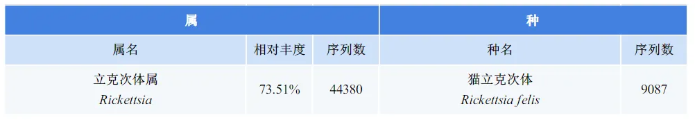 1749798786192493.png 2.png