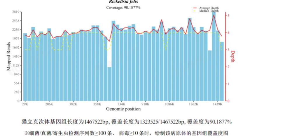 1749798795777370.png 3.png