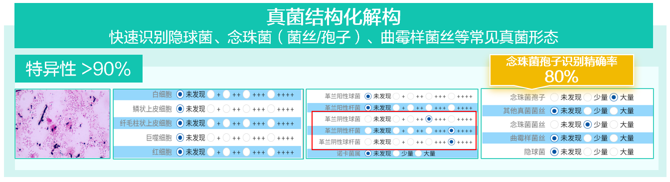 1772675383118768.png 1772675383118768.png