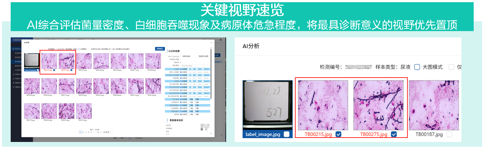 1772675420904120.png 1772675420904120.png