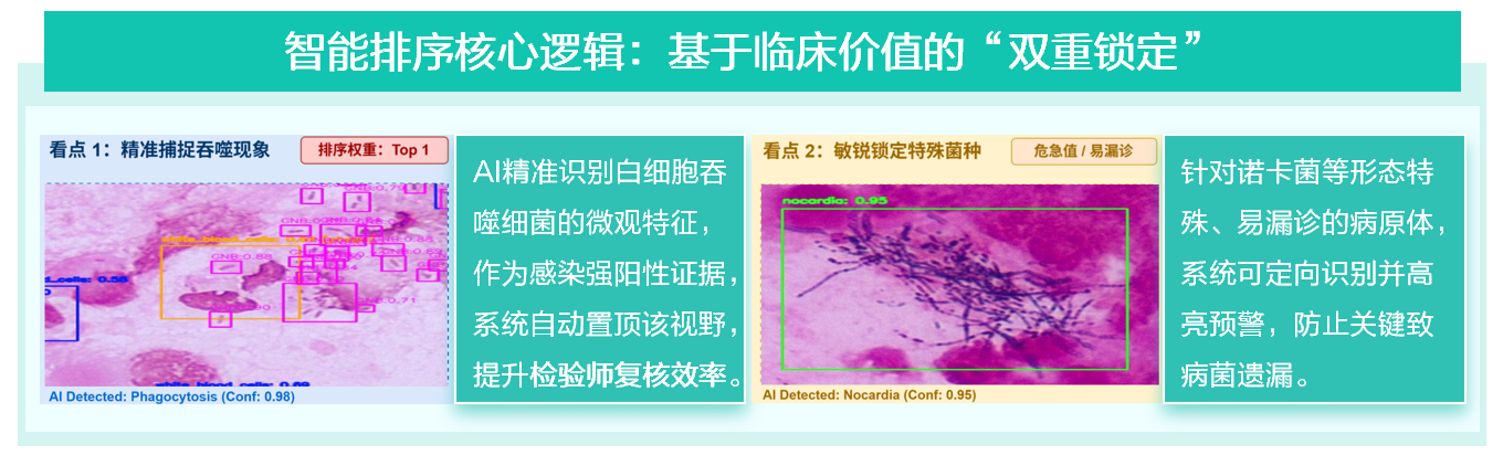 1772675427277375.png 1772675427277375.png