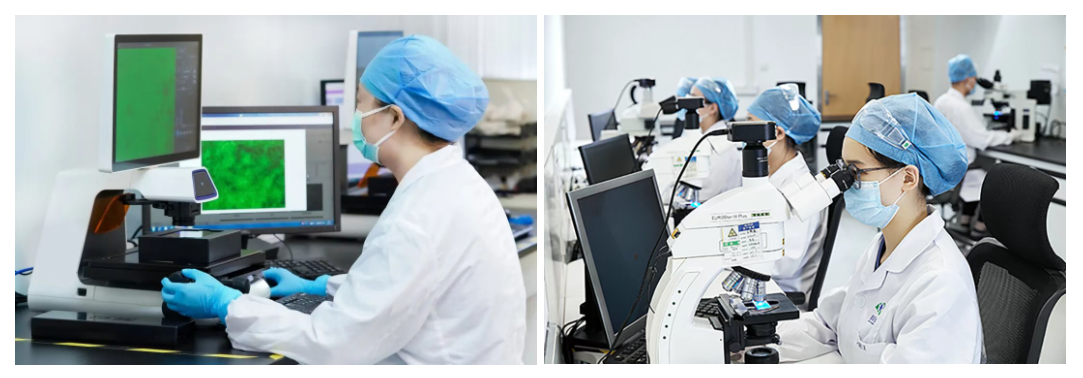 1774594827527735.png 1774594827527735.png