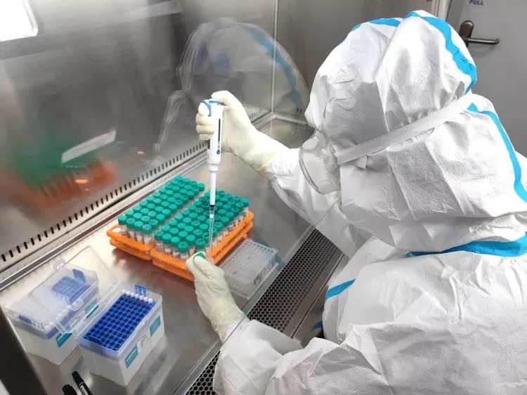 1644459885630065974.jpg ºÓÄÏÕÕÆ¬.jpg